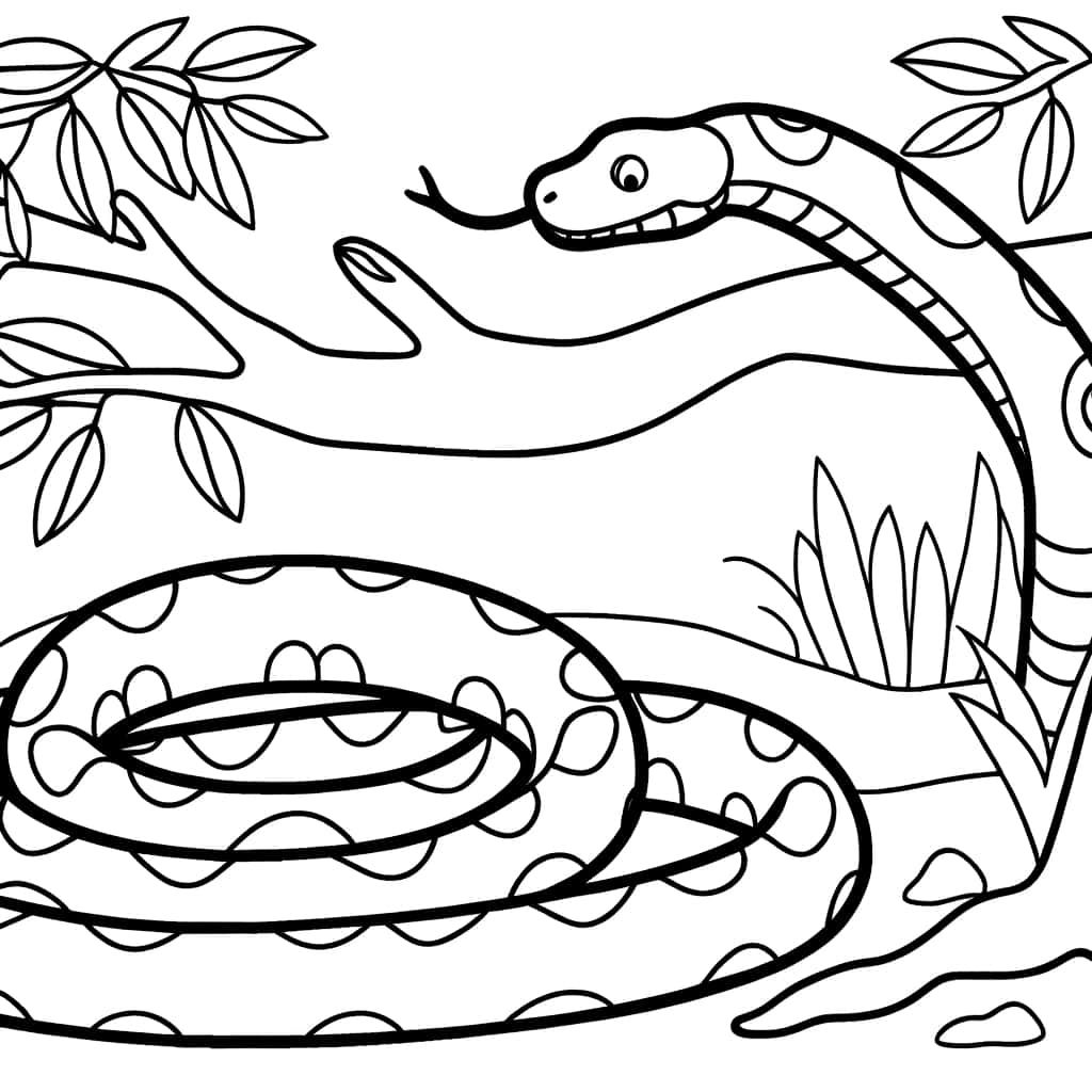 Coloriage Anaconda dans la jungle à imprimer et colorier
