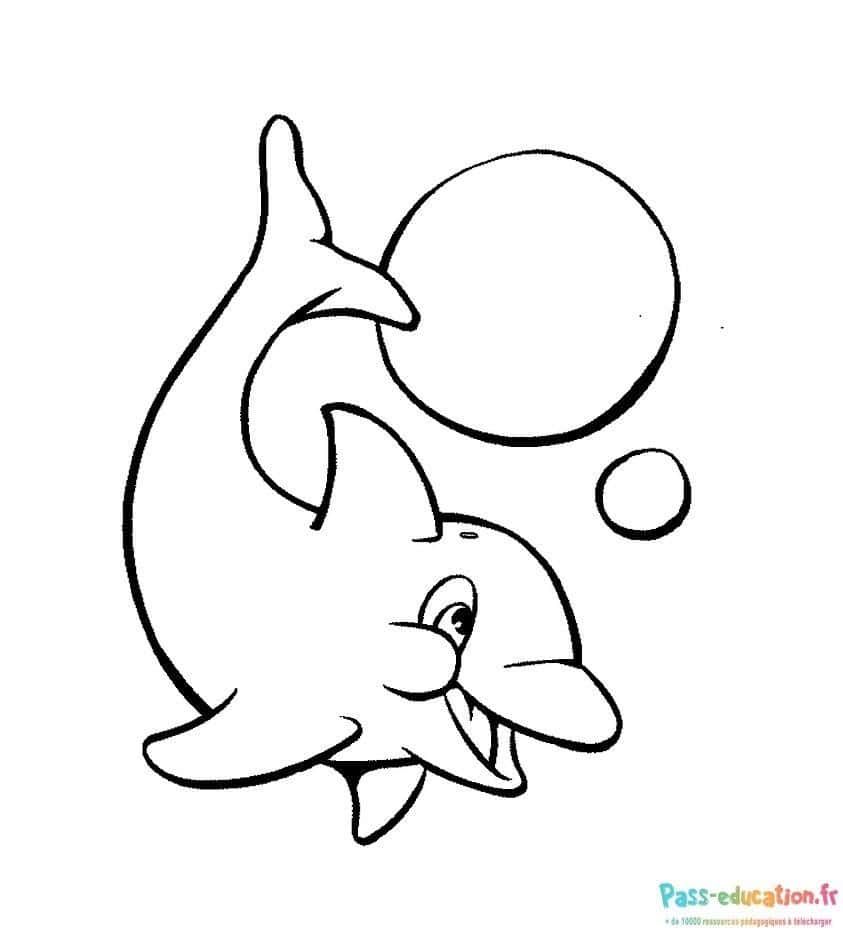 Coloriage Dauphin et bulles à imprimer et colorier