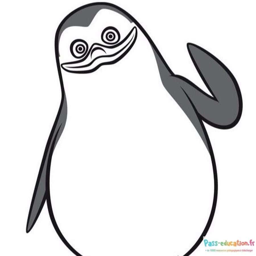 Coloriage Pingouin souriant à imprimer et colorier