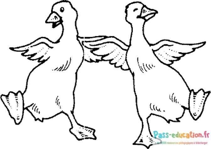 Coloriage Canards joyeux à imprimer et colorier