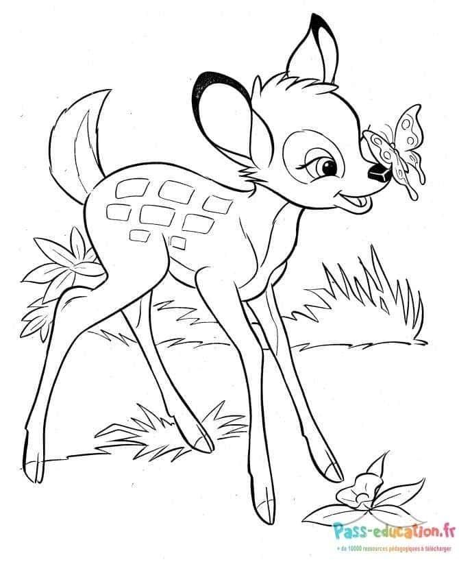 Coloriage Bambi et papillon à imprimer et colorier