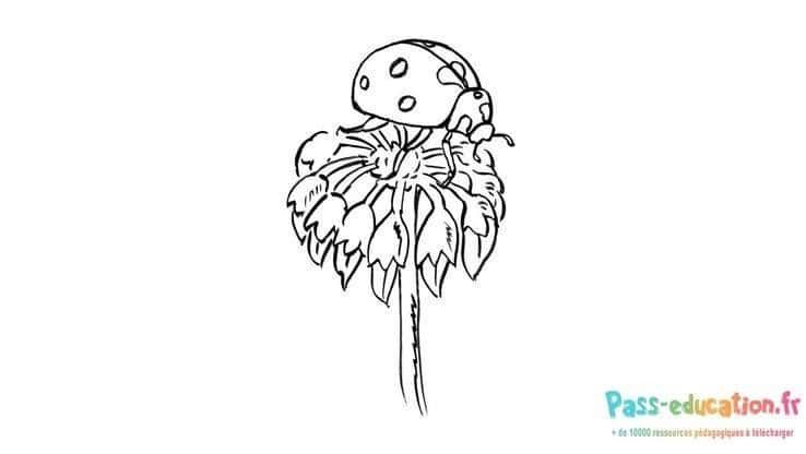 Coloriage Coccinelle sur fleur à imprimer et colorier