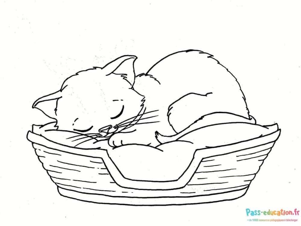 Coloriage Chat endormi à imprimer et colorier