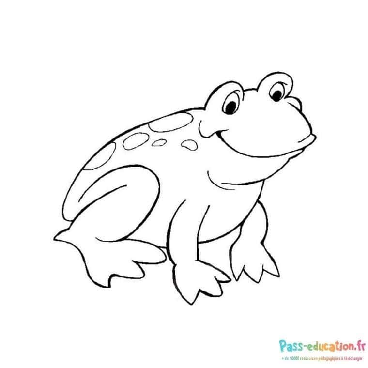 Coloriage Grenouille joyeuse à imprimer et colorier