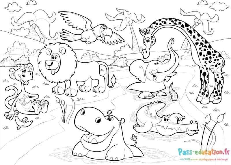 Coloriage Jungle animée à imprimer et colorier