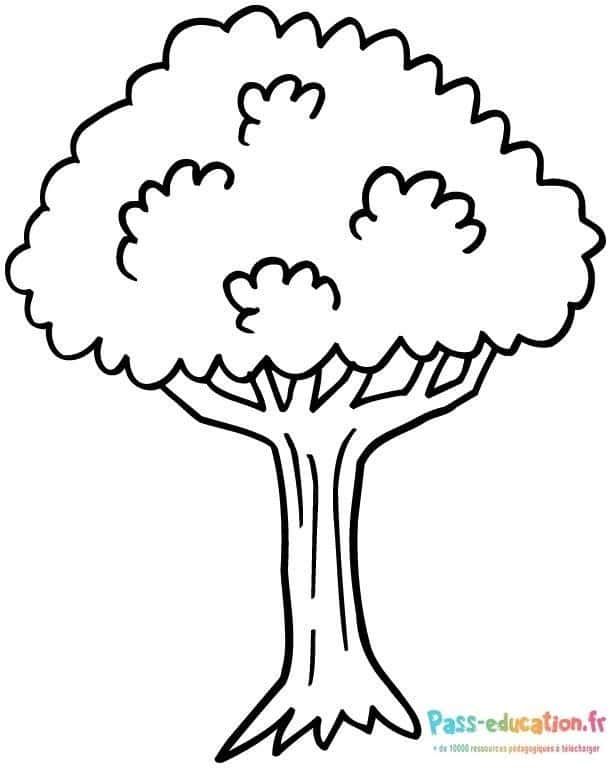 Coloriage Arbre généreux à imprimer et colorier