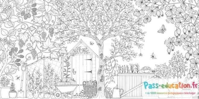 Coloriage Jardin secret à imprimer et colorier