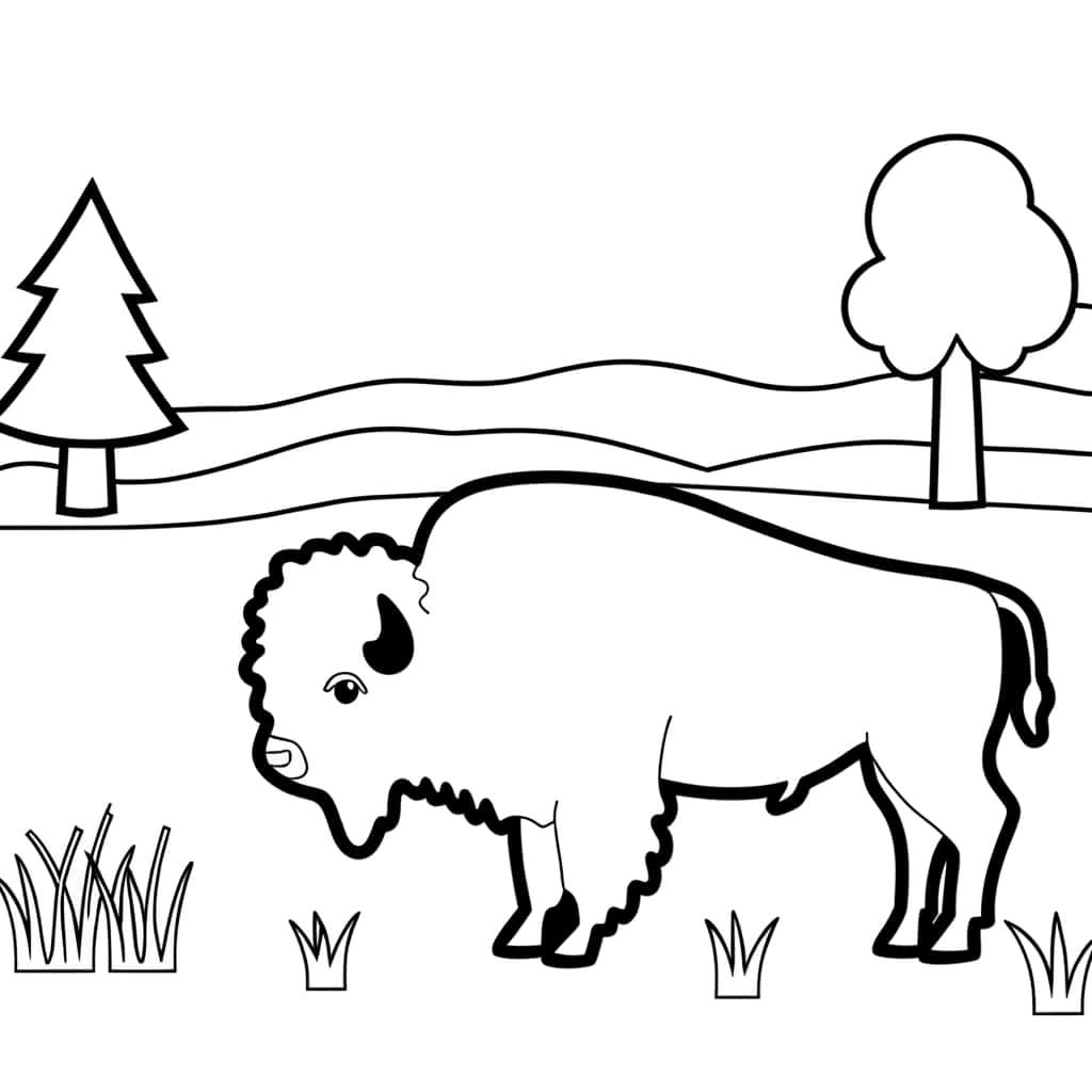 Coloriage Bison dans la nature à imprimer et colorier
