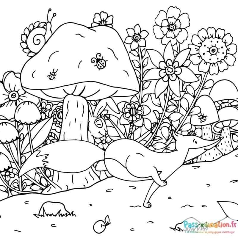 Coloriage Forêt enchantée à imprimer et colorier