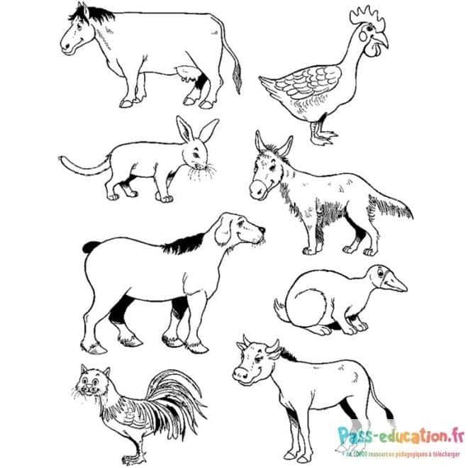 Coloriage Animaux de la ferme à imprimer et colorier
