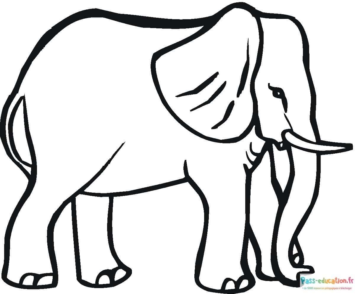 Coloriage Éléphant à imprimer et colorier