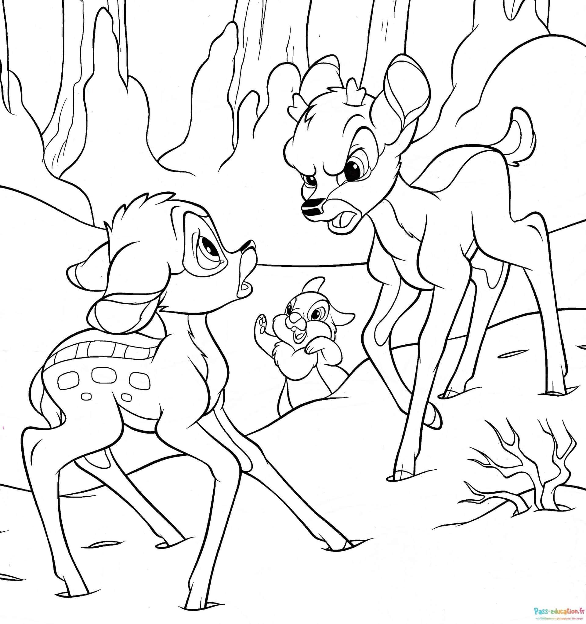 Coloriage Rencontre en forêt à imprimer et colorier