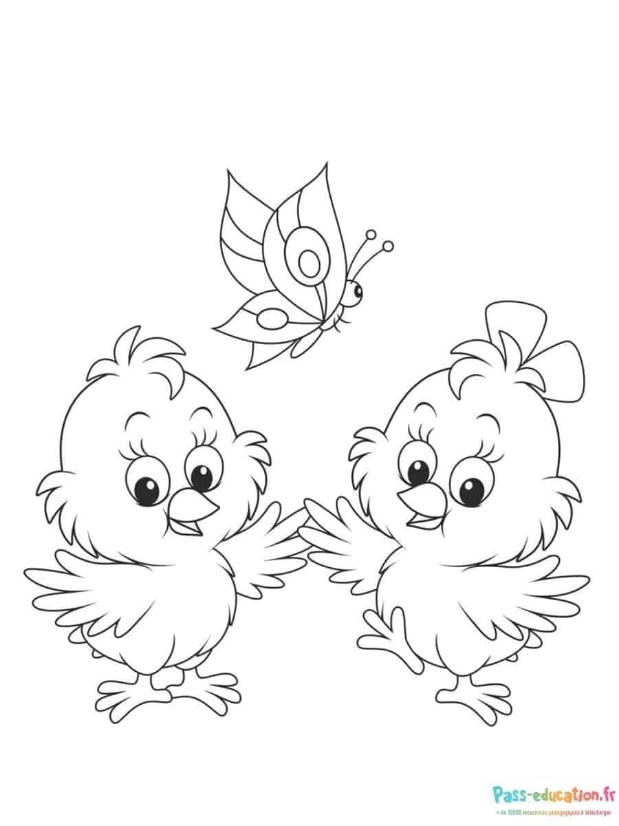 Coloriage Poussins et papillon à imprimer et colorier