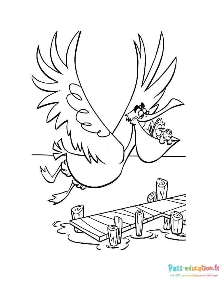 Coloriage Pelican et poissons à imprimer et colorier