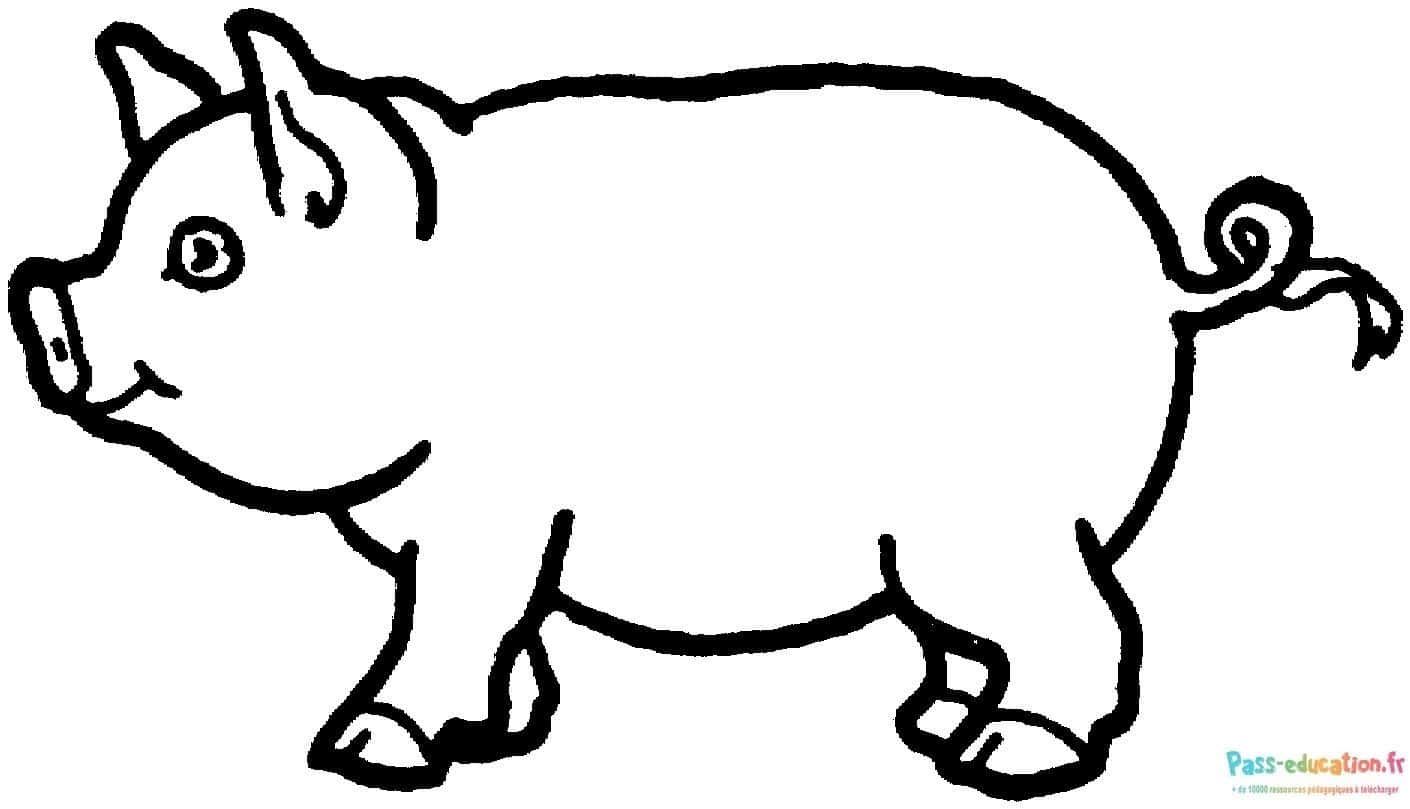 Coloriage Cochon stylisé à imprimer et colorier