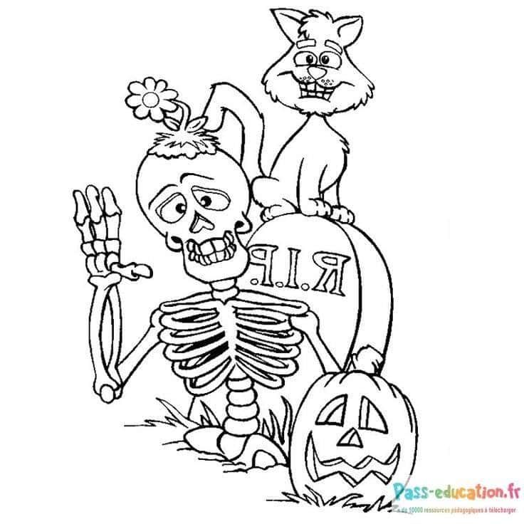 Coloriage Squelette et chat Halloween à imprimer et colorier
