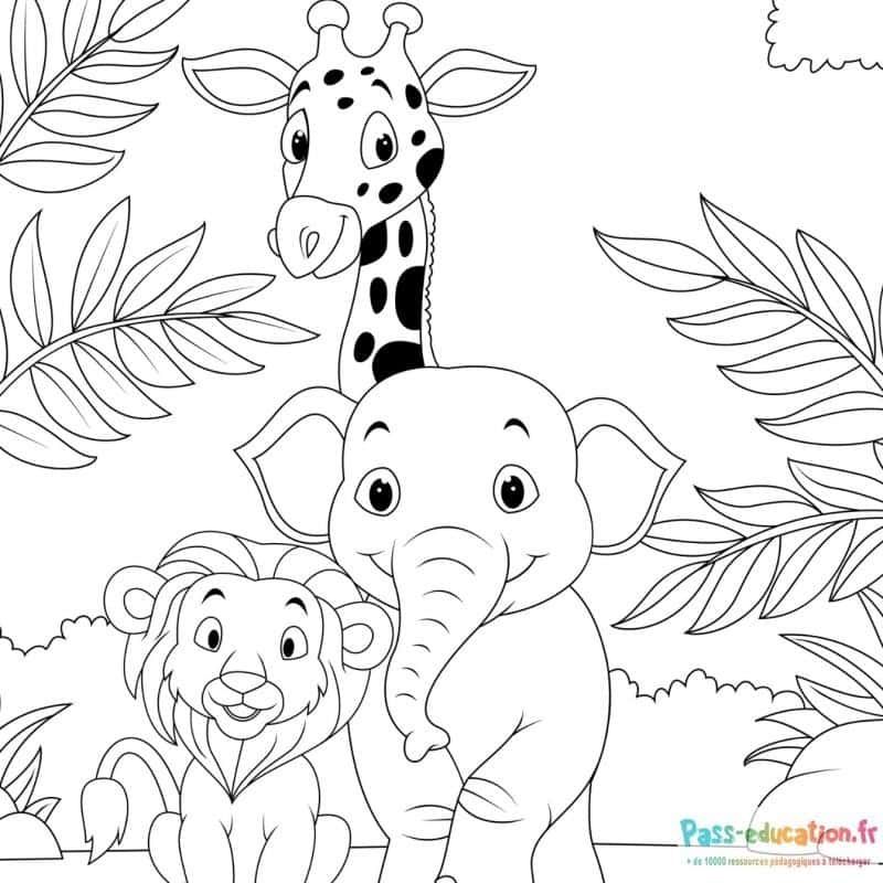 Coloriage Animaux sauvages amis à imprimer et colorier