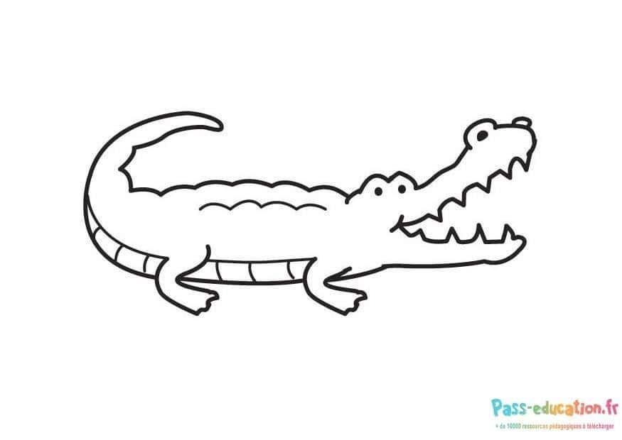 Coloriage Crocodile souriant à imprimer et colorier