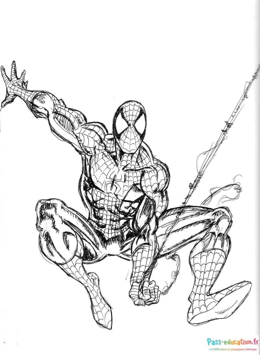 Coloriage Spider-Man en action à imprimer et colorier