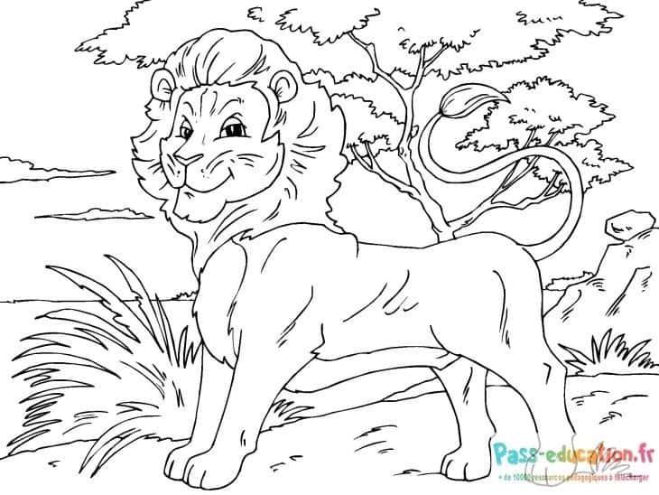 Coloriage Lion majestueux à imprimer et colorier