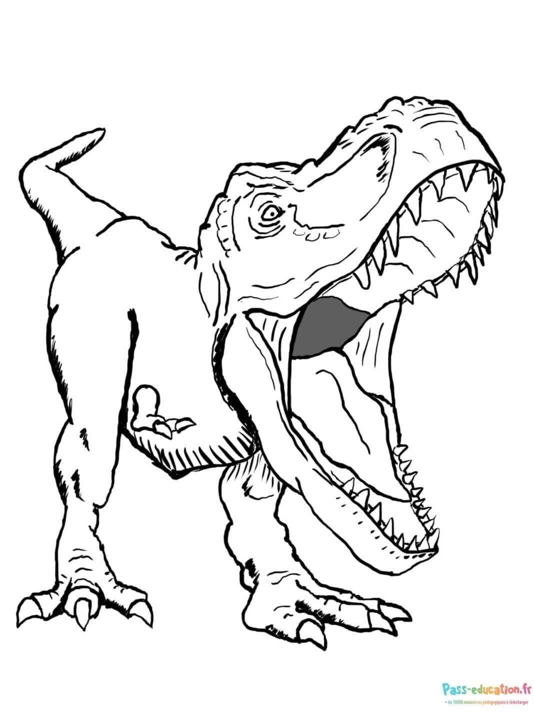 Coloriage Tyrannosaure rex à imprimer et colorier