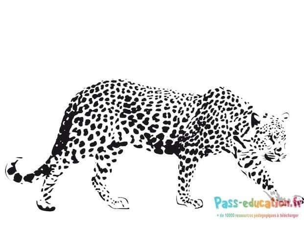 Coloriage Guépard en marche à imprimer et colorier