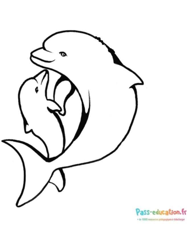 Coloriage Dauphins en duo à imprimer et colorier