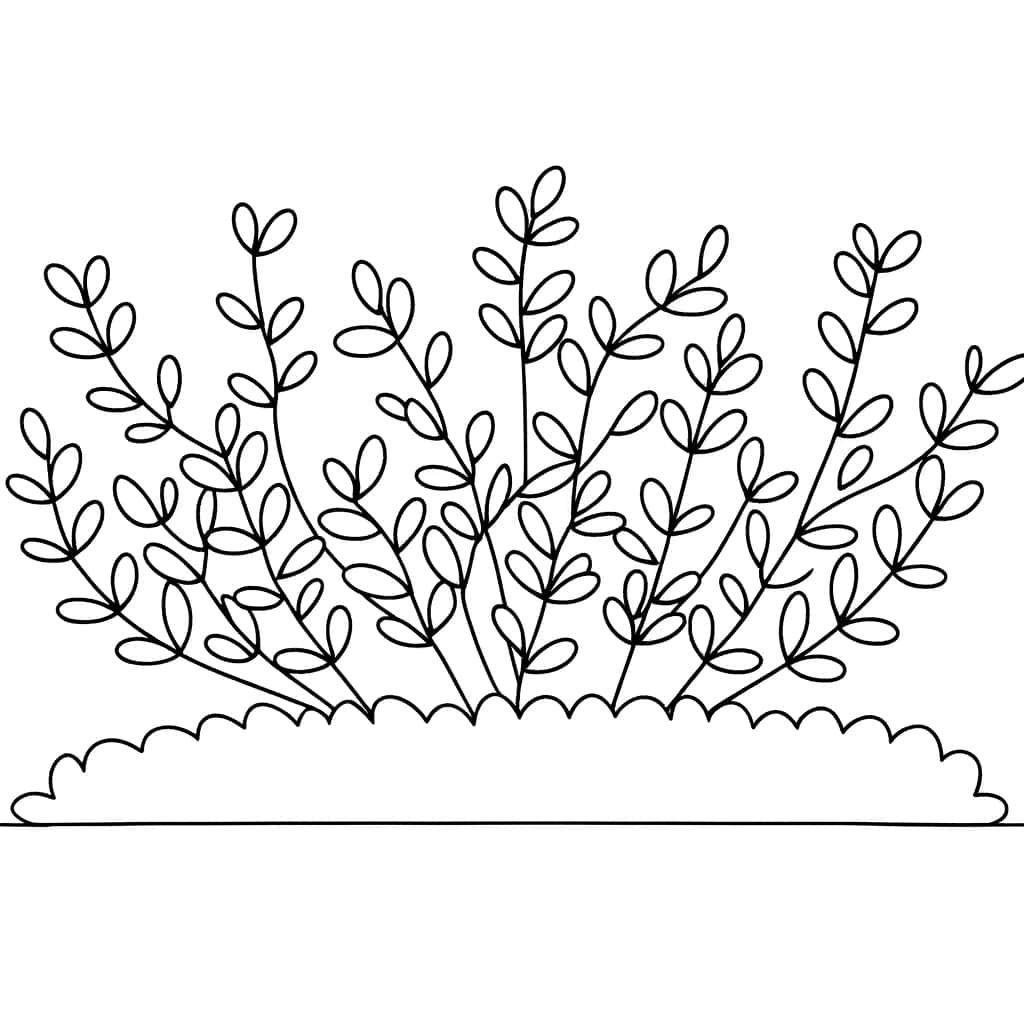 Coloriage Buisson à imprimer et colorier