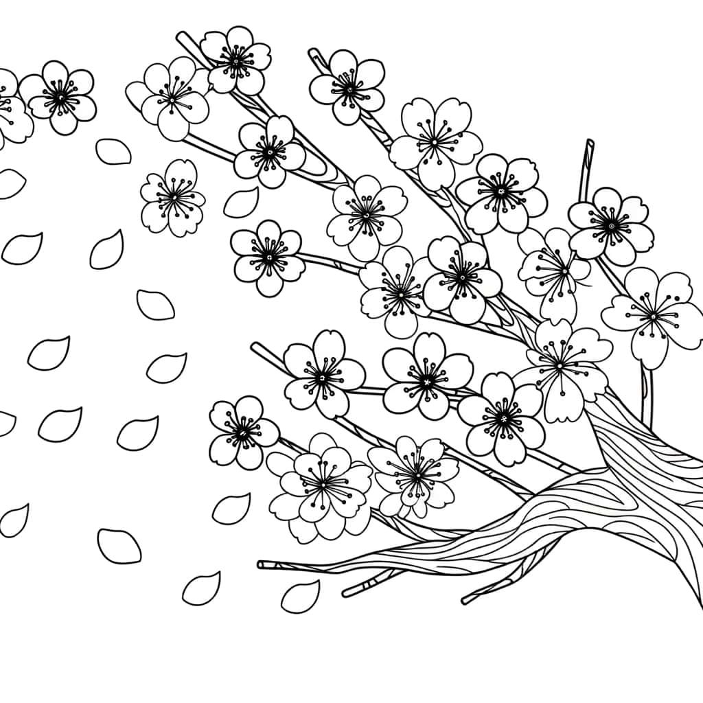 Coloriage Cerisier du Japon à imprimer et colorier