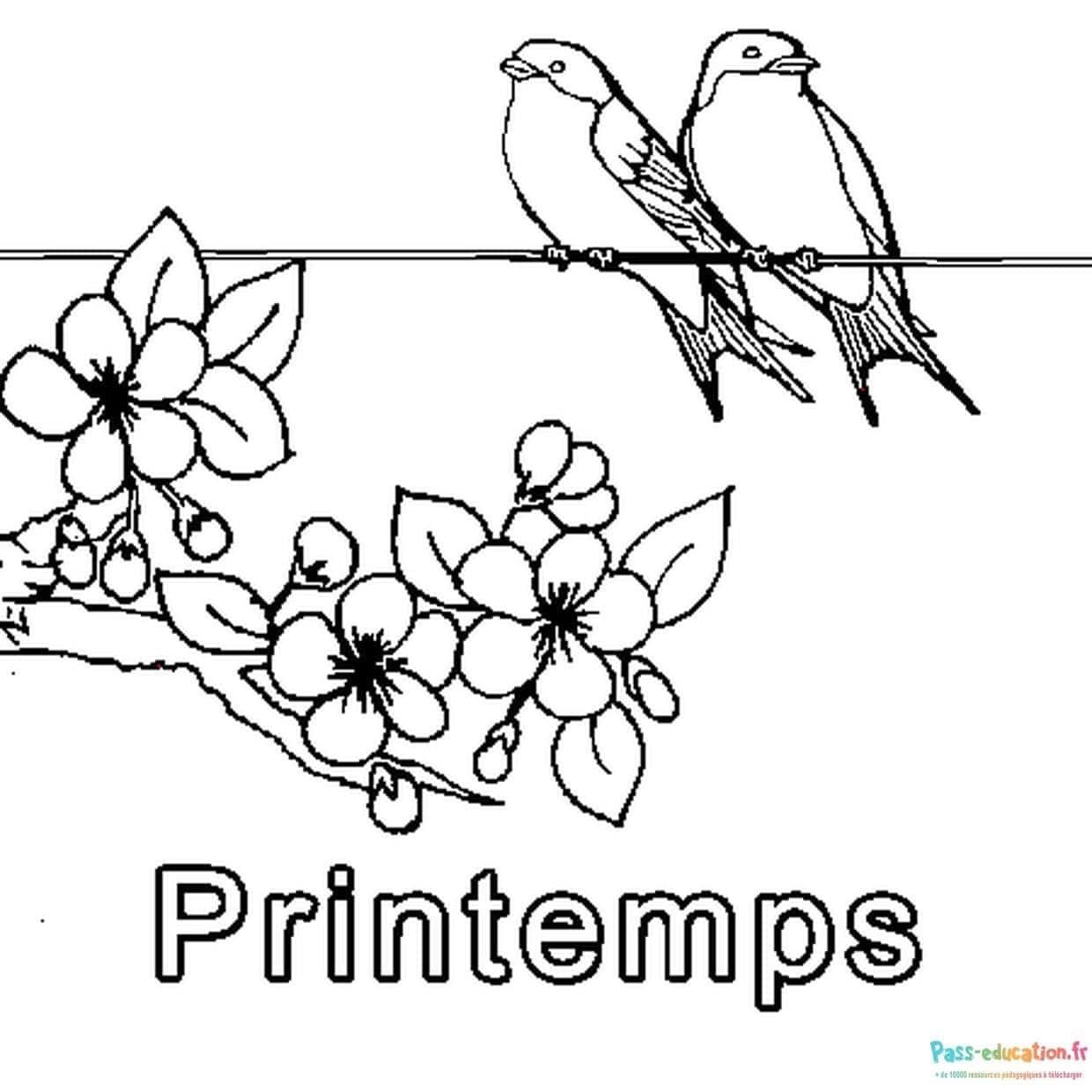 Coloriage Oiseaux sur une branche à imprimer et colorier