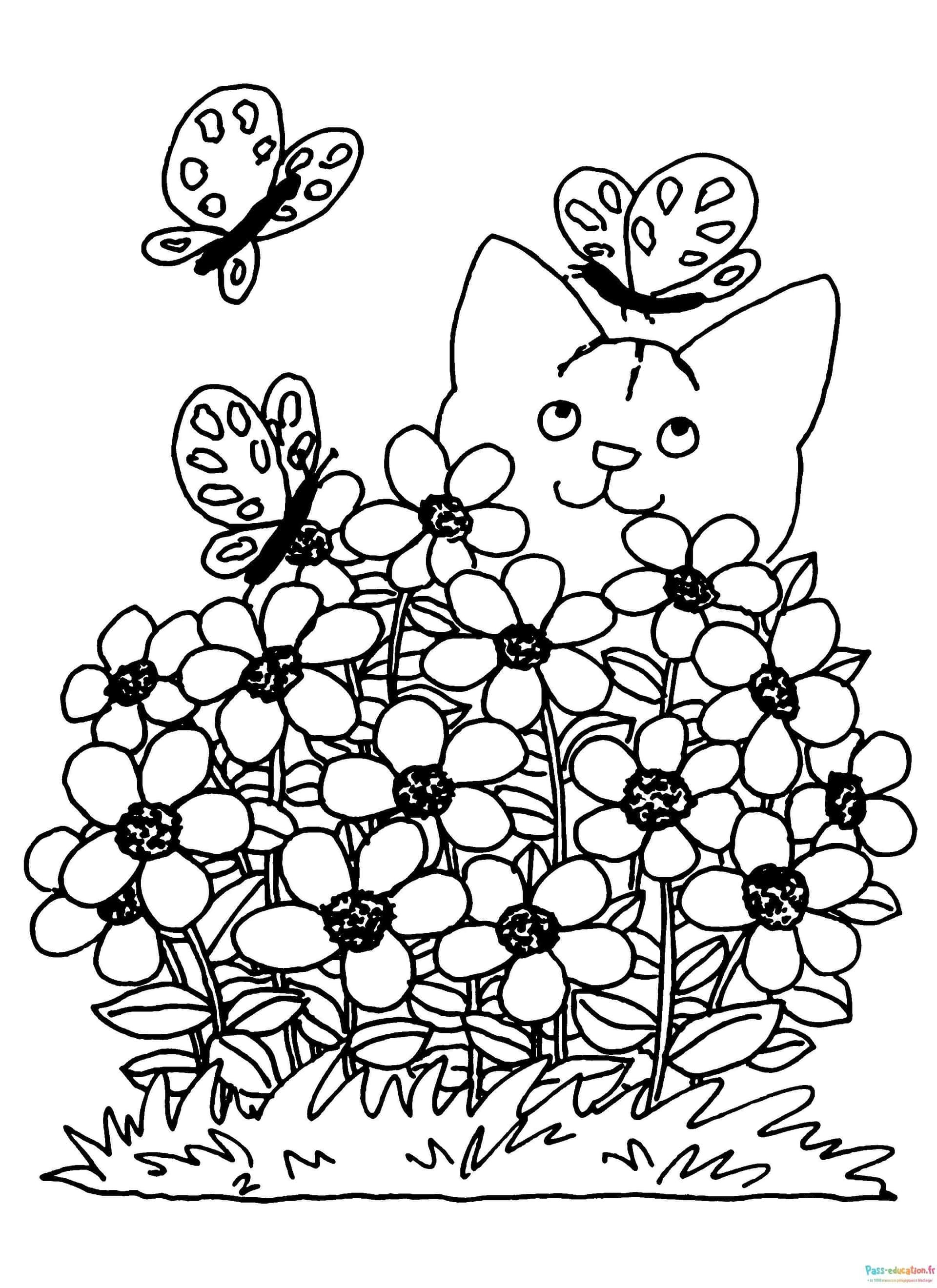 Coloriage Chat parmi les fleurs à imprimer et colorier