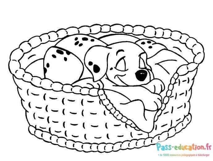 Coloriage Chiot dans panier à imprimer et colorier