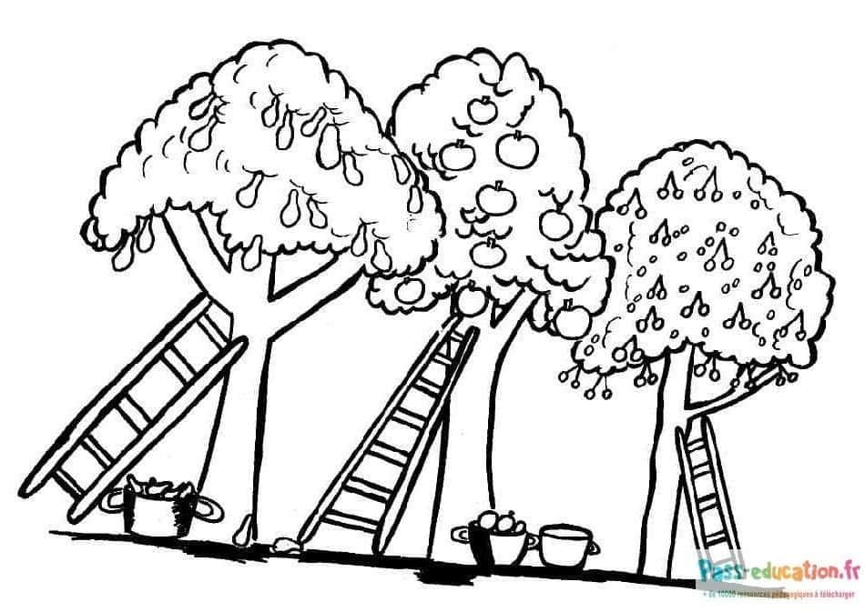 Coloriage Récolte de pommes à imprimer et colorier
