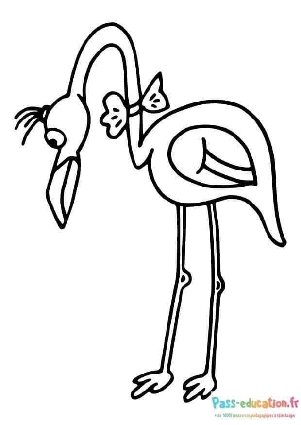 Coloriage Flamant rose à imprimer et colorier