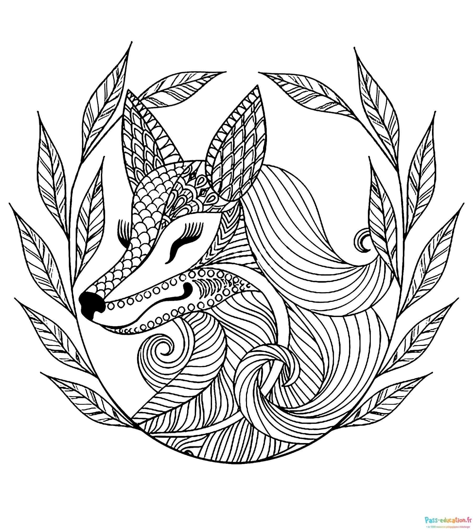 Coloriage Renard stylisé à imprimer et colorier