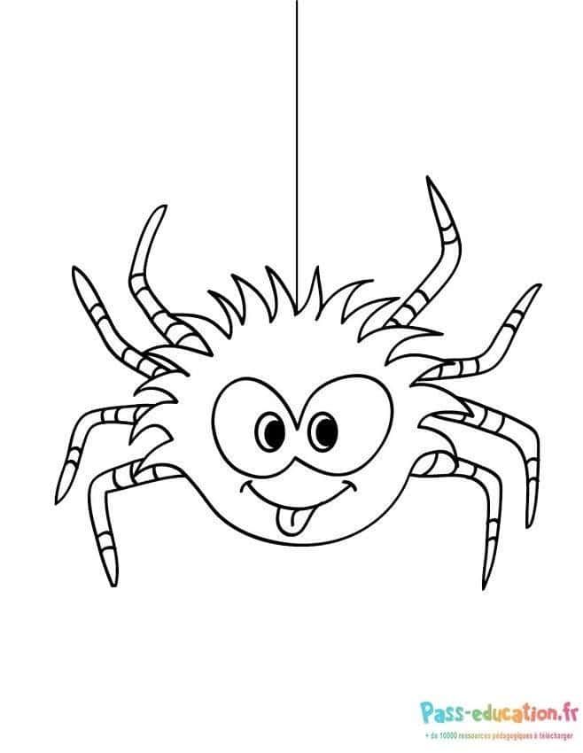 Coloriage Araignée rigolote à imprimer et colorier