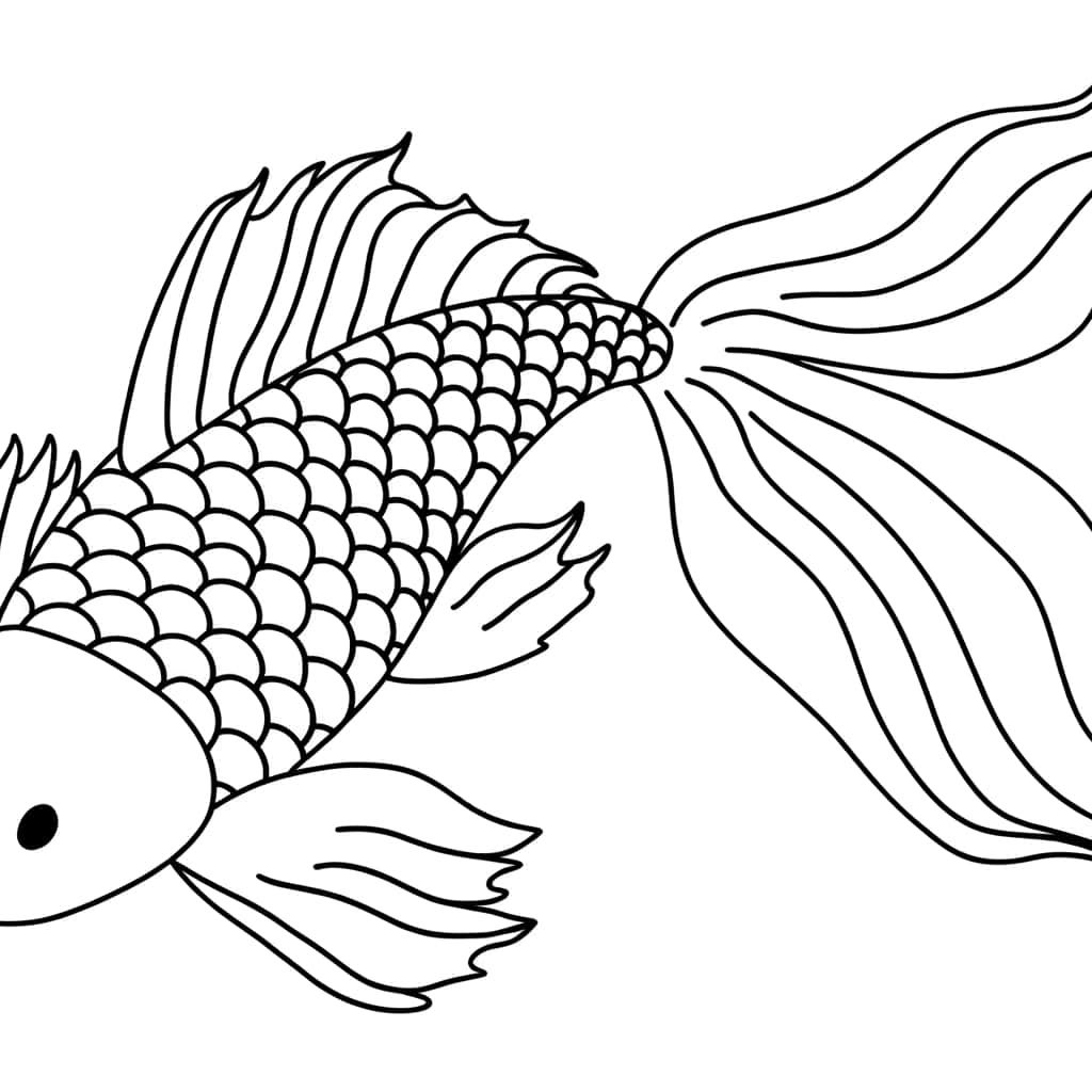 Coloriage Carpe Koi à imprimer et colorier
