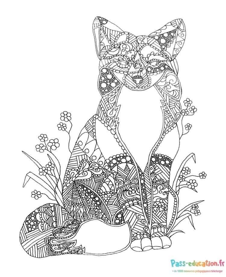 Coloriage Renard mandala à imprimer et colorier