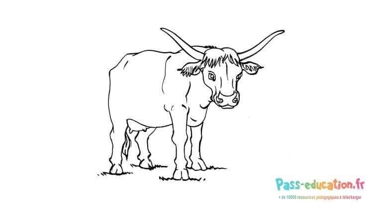 Coloriage Vache aux longues cornes à imprimer et colorier