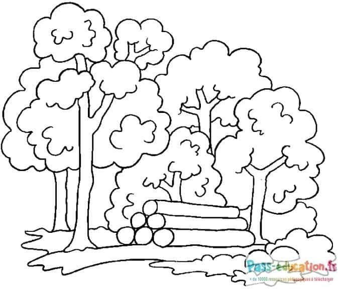 Coloriage Forêt paisible à imprimer et colorier