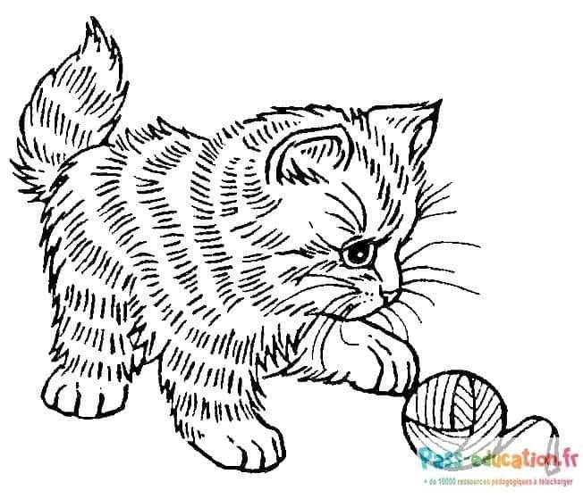 Coloriage Chat jouant à imprimer et colorier