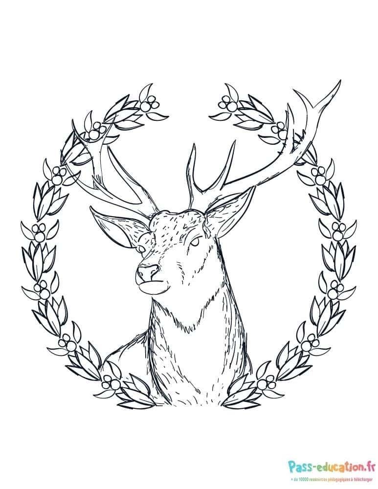 Coloriage Cerf dans laurier à imprimer et colorier