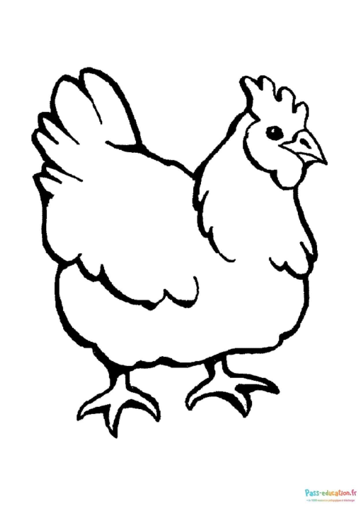Coloriage Poule dessinée à imprimer et colorier