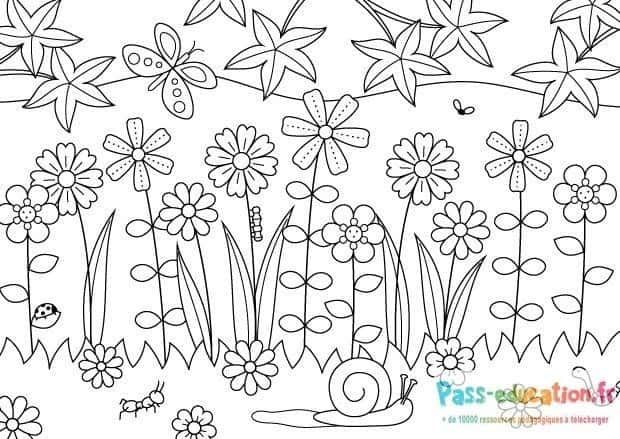 Coloriage Jardin printanier à imprimer et colorier