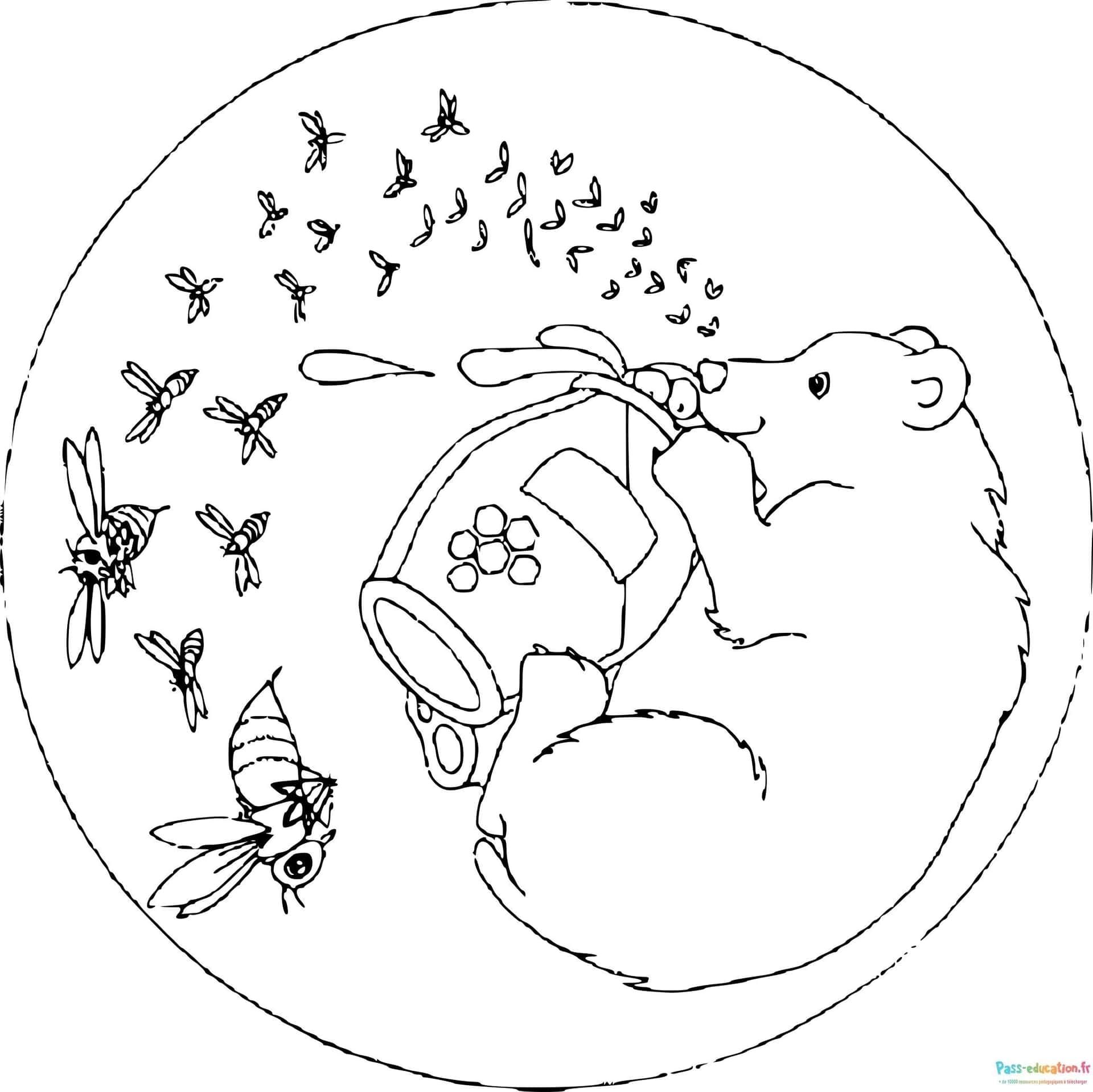 Coloriage Ours avec miel à imprimer et colorier