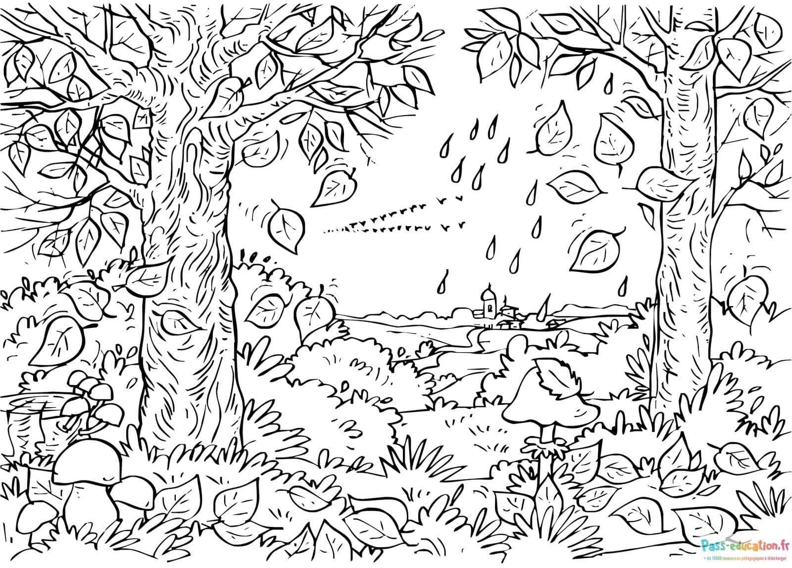 Coloriage Forêt enchantée à imprimer et colorier