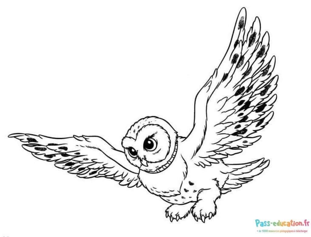 Coloriage Hibou en vol à imprimer et colorier