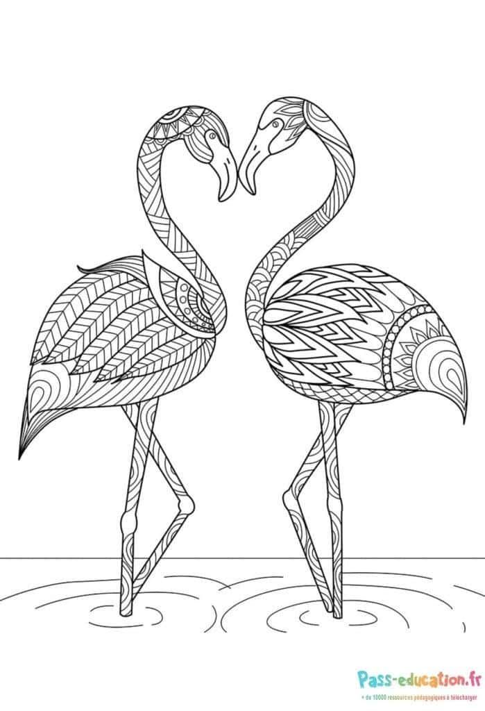 Coloriage Flamants amoureux à imprimer et colorier
