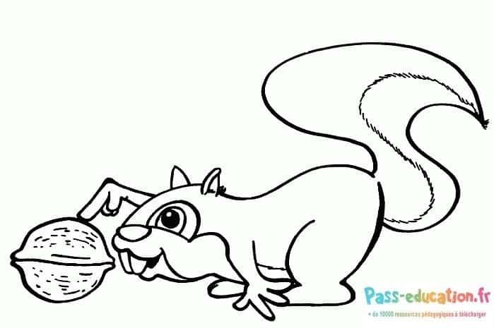 Coloriage Écureuil Gourmand à imprimer et colorier