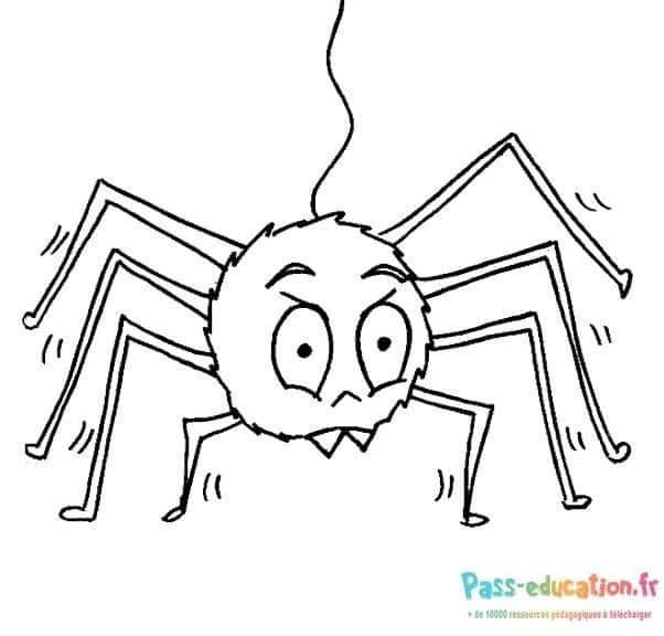 Coloriage Araignée effrayée à imprimer et colorier